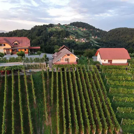 In Kranjska Krain 36158 *