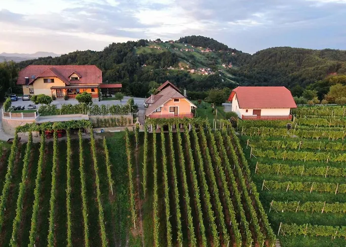 In Kranjska Krain 36158 *